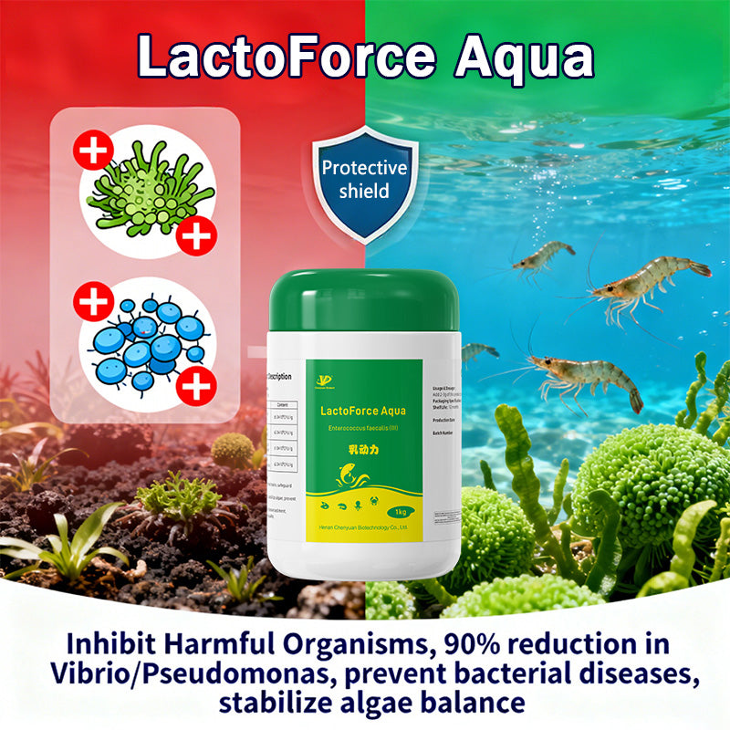 LactoForce Aqua-Decompose residual bait and feces Regulate pond pH 100-billion concentrated fermentable bacteria for intestinal regulation and feeding induction