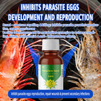 ParaZero-Aqua-TCM Parasite Expulsion Pioneer