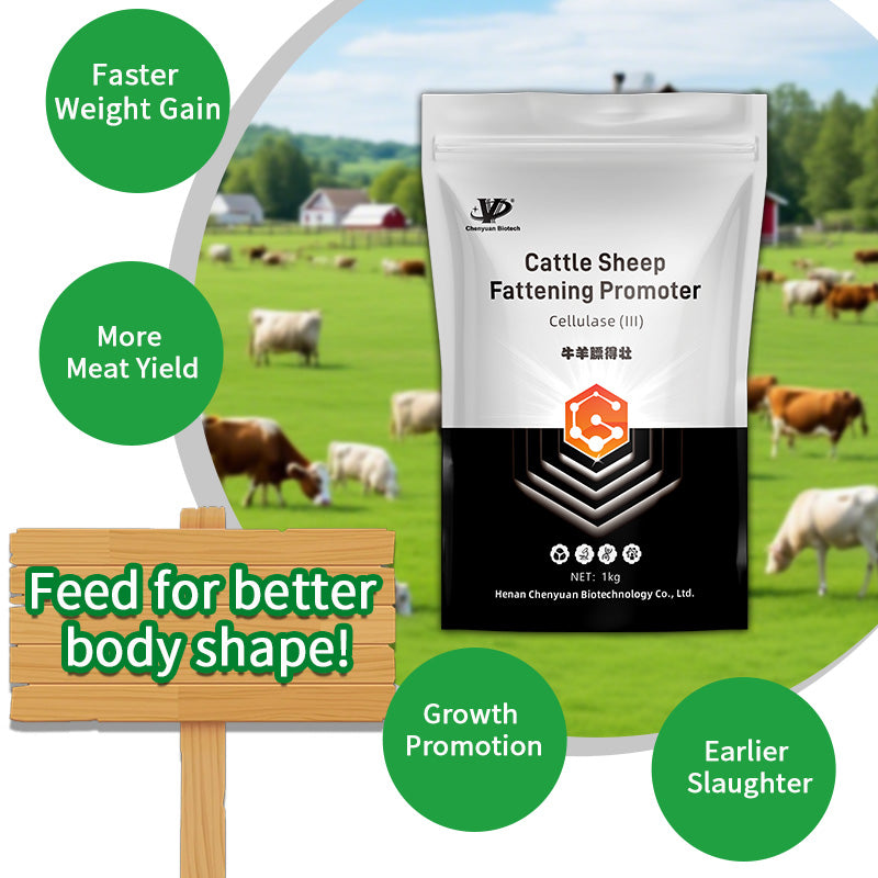 Cattle Sheep Fattening Promoter-Skeletal Development • Rapid Weight Gain • High Meat Yield • Low Feed Conversion Ratio