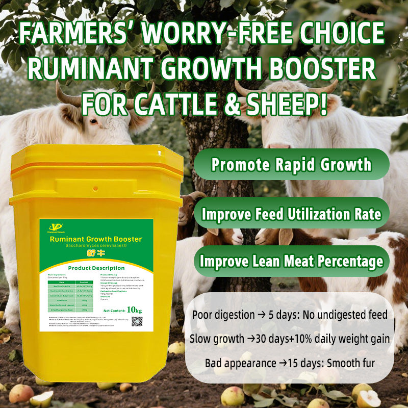 Ruminant Growth Booster-Faster weight gain & early slaughter Enhanced immunity & disease resistance