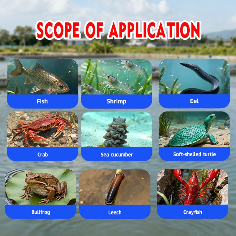 High-Power Oxygen Tablets-The Essential Oxygen Booster for Aquaculture!