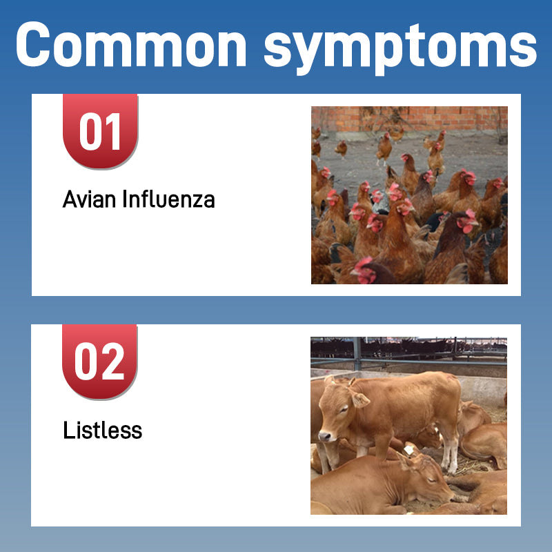 Banqing Granules-Clearing away heat and toxic materials， Veterinary Nonprescription Pharmaceuticals