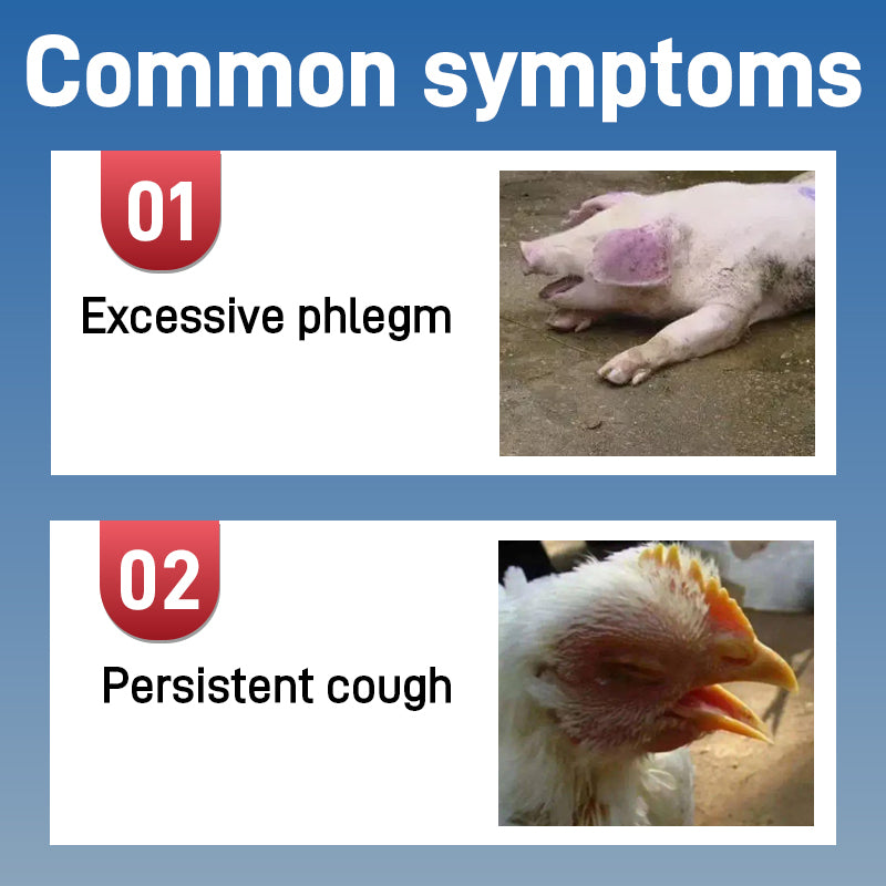 Licorice Granules-Expelling phlegm and relieving cough Veterinary Nonprescription Pharmaceuticals