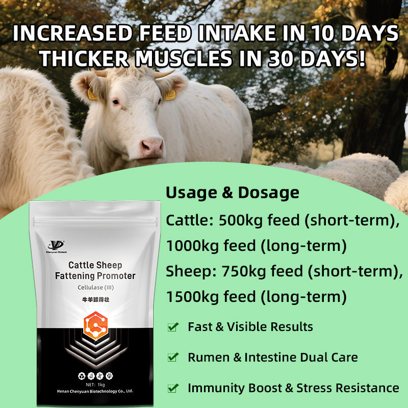Cattle Sheep Fattening Promoter-Skeletal Development • Rapid Weight Gain • High Meat Yield • Low Feed Conversion Ratio