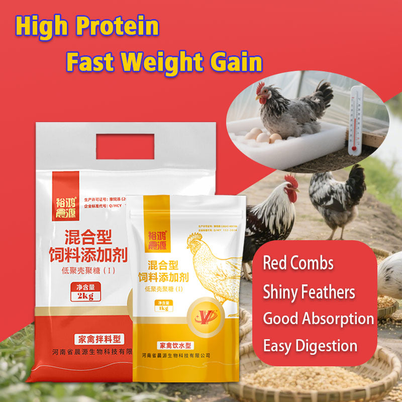 Immune Enhancer for Poutry-Boosting Immune System Maturation and Feed Utilization for Faster Growth in Chickens