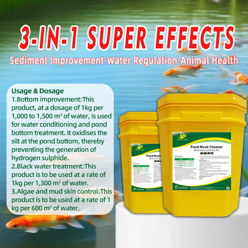 Pond Muck Cleaner-Oxidizes Black Sludge / Decomposes Mud Skin / Increases Dissolved Oxygen