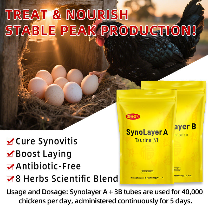 SynoLayer for laying hen