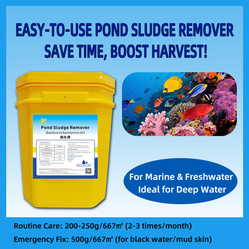 Pond Sludge Remover-Billion-Level Thiobacillus, Hydrogen Sulfide-Oxidizing Bacteria, Mineral Elements and Carriers
