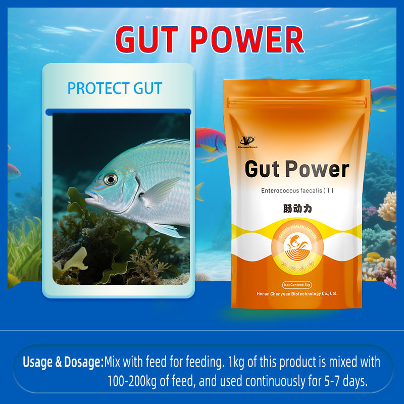 Gut Power-Regulates Intestines · Replenishes Flora · Enhances Growth