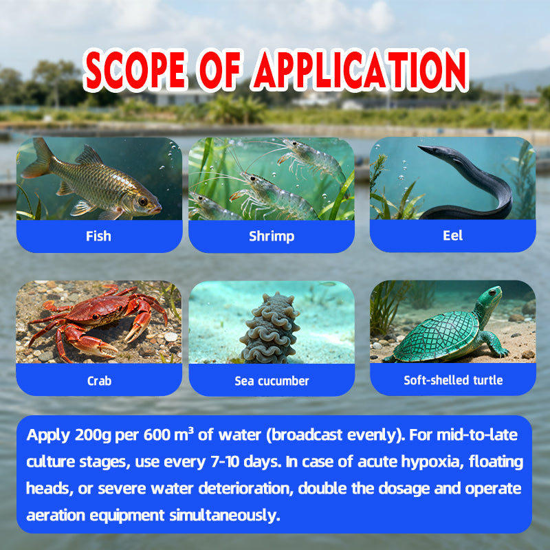 High-Power Oxygen Tablets-The Essential Oxygen Booster for Aquaculture!