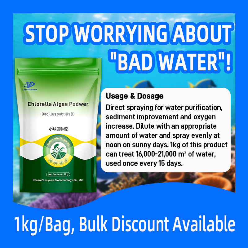 Chlorella Algae Podwer-Rapid Water Fertilization • Dissolved Oxygen Enhancement • Algal Balance