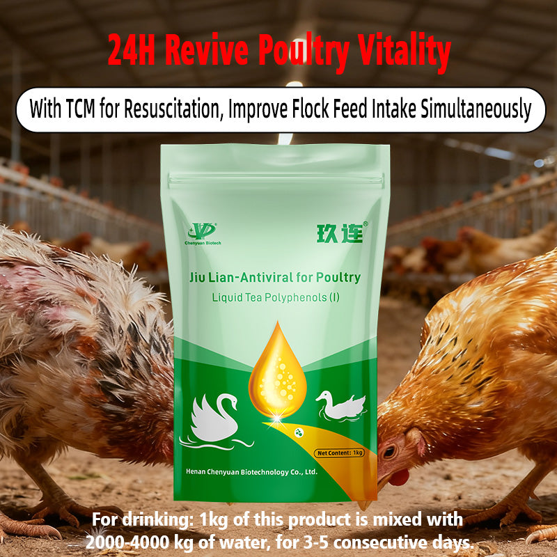 Jiu Lian-Antiviral for Poultry