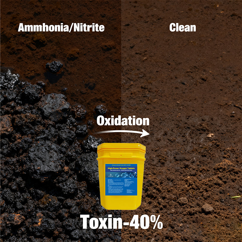 High-Power Oxygen Tablets-The Essential Oxygen Booster for Aquaculture!