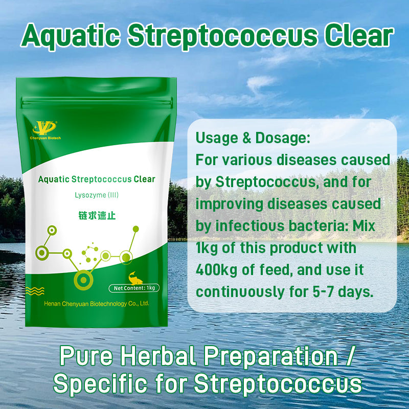 Aquatic Streptococcus Clear-Non-Toxic to Water Body, TCM Extracts, Rapid Bactericidal Effect