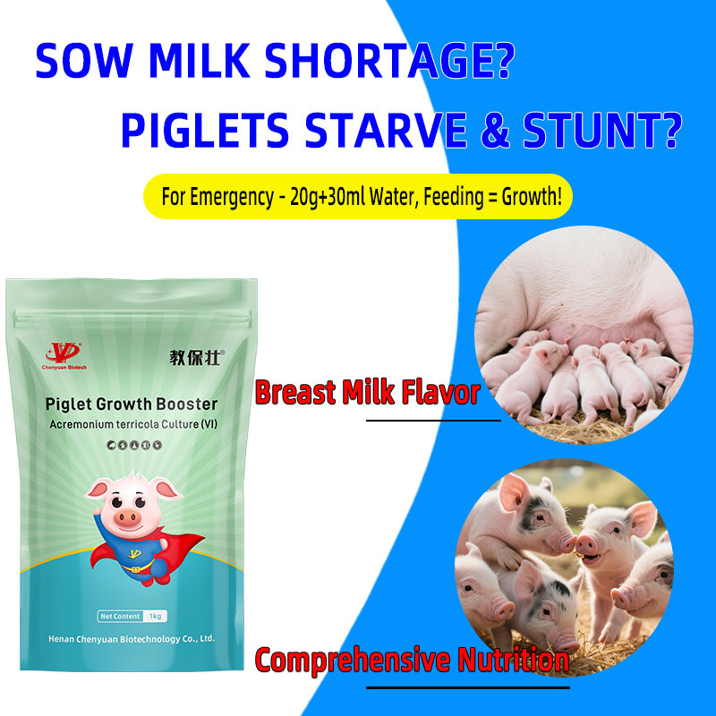 Piglet Growth Booster-Piglet Feed Additive-Improve the survival rate of piglets. Increase the weaning litter weight.