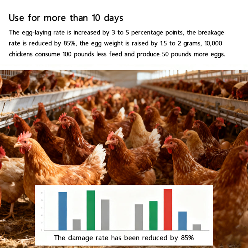 Poutly Gut PLUS-Poultry Gut Health Enhancer