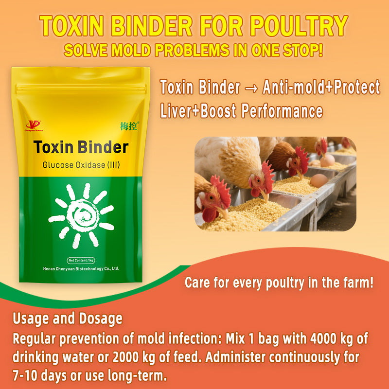 Toxin Binder for Chicken-Poultry-Specific Mold Remover