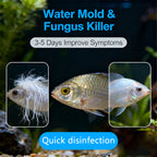 Aquatic Safe-Skin Rot, Gill Rot & Fungal Growth—Safe & Efficient