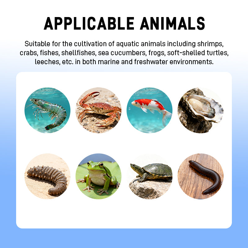 High-end Nanoemulsion Liquid Vitamins