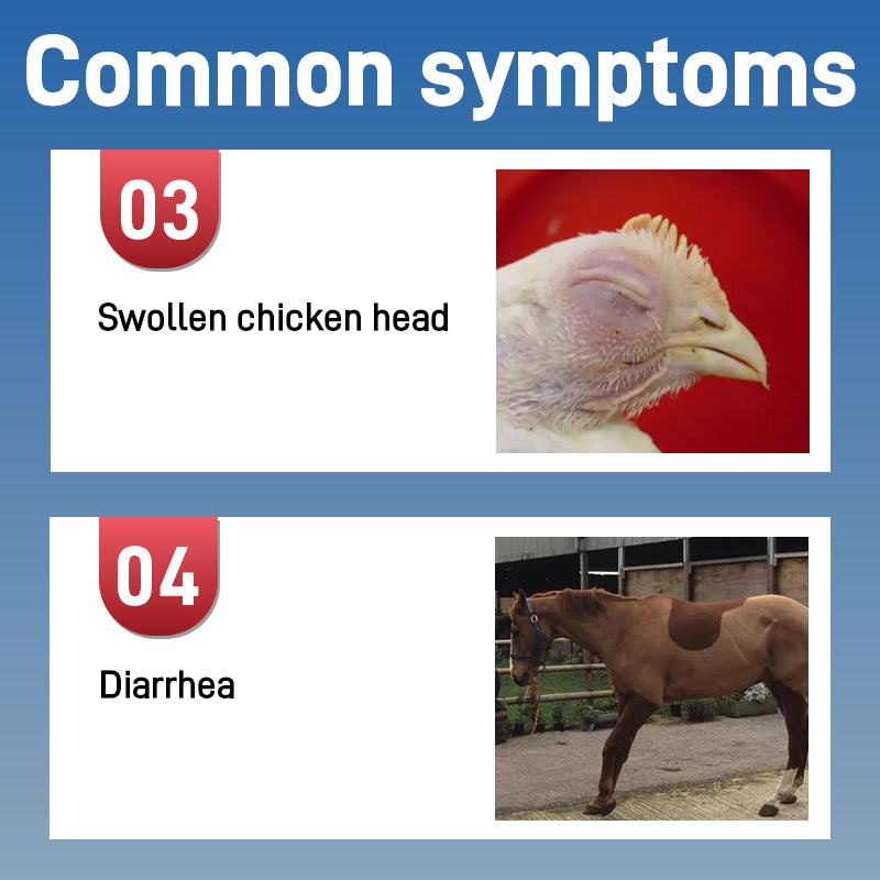 Banqing Granules-Clearing away heat and toxic materials， Veterinary Nonprescription Pharmaceuticals