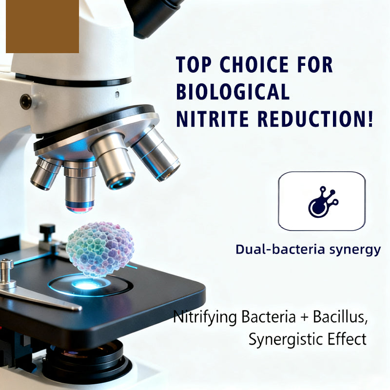 Nitro 50-Nitrite Degradation Feed Additive for Aquaculture