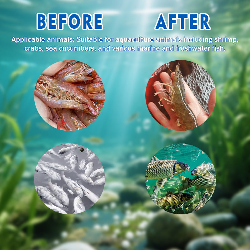 Nitrite Degrader-Degrade nitrite, Activate water bodies