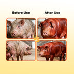 Pig Growth Booster-Livestock Feed Additive Swine Fattening Supplement