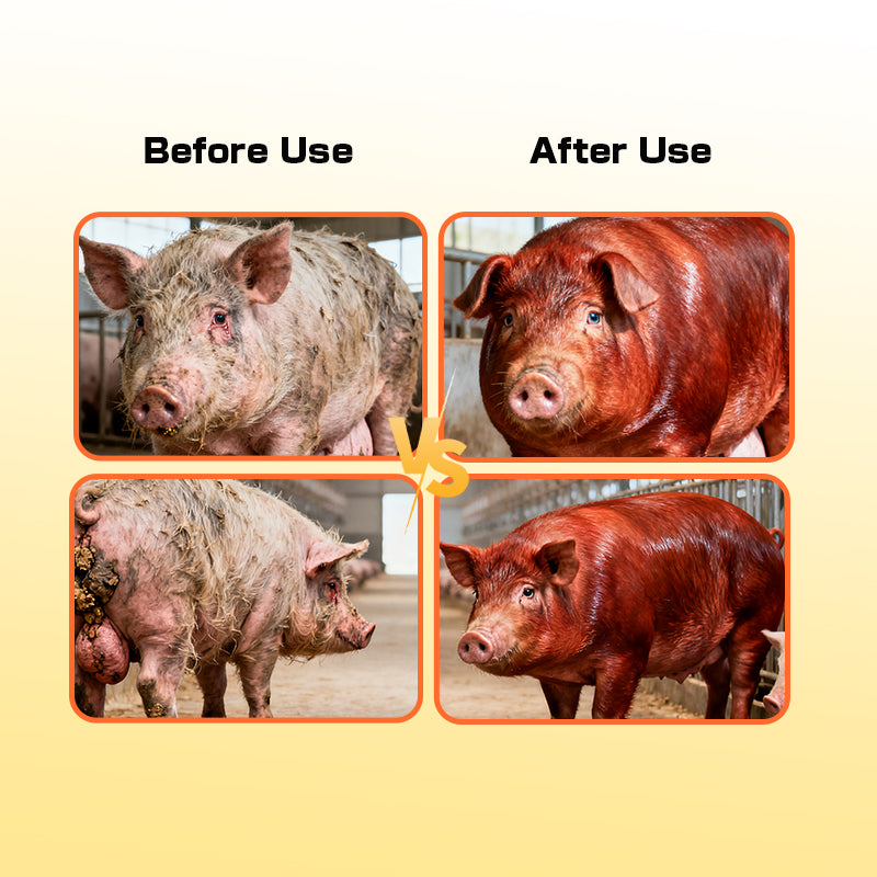 Pig Growth Booster-Livestock Feed Additive Swine Fattening Supplement