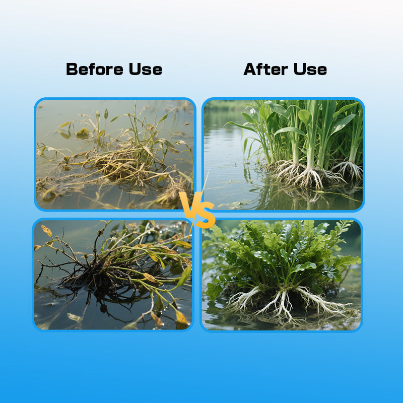 Aquatic Plants Booster