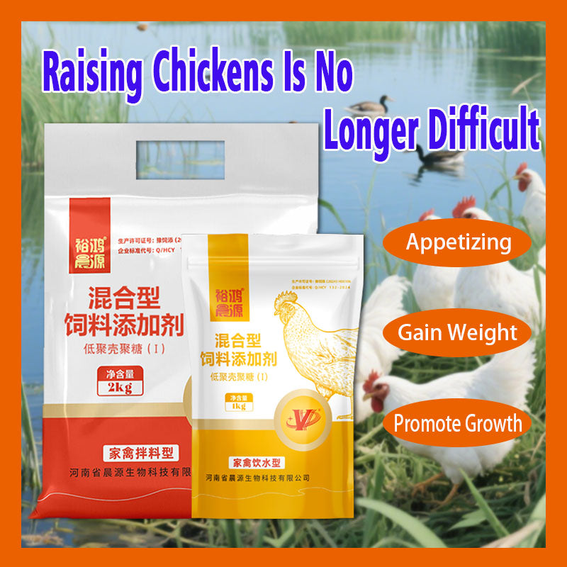 Immune Enhancer for Poutry-Boosting Immune System Maturation and Feed Utilization for Faster Growth in Chickens