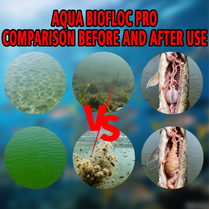 Aqua Biofloc Pro-Cultivate Algae and Breed Insects, Fertilize Water at Low Temperature, Increase Dissolved Oxygen