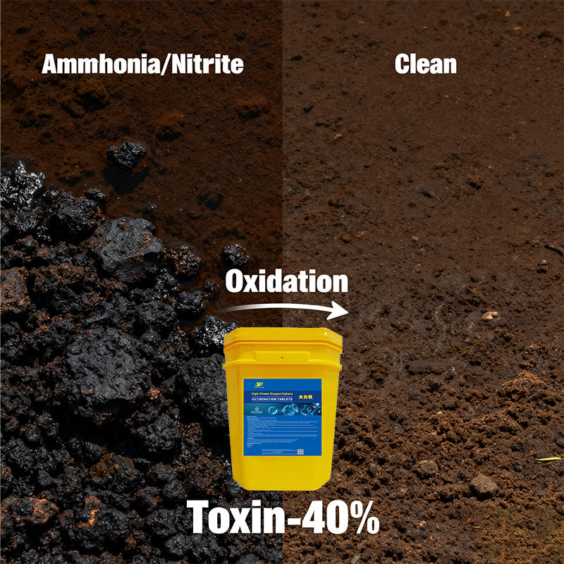 High-Power Oxygen Tablets-The Essential Oxygen Booster for Aquaculture!