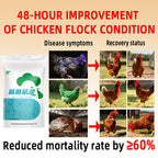 Anti-Flu Powder-Antiviral & Immune Booster for Poultry