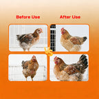 Immune Enhancer for Poutry-Boosting Immune System Maturation and Feed Utilization for Faster Growth in Chickens
