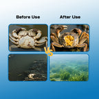 Natural Liver+ - Heat-clearing and detoxifying·Protecting liver and gallbladder·Enhancing immunity