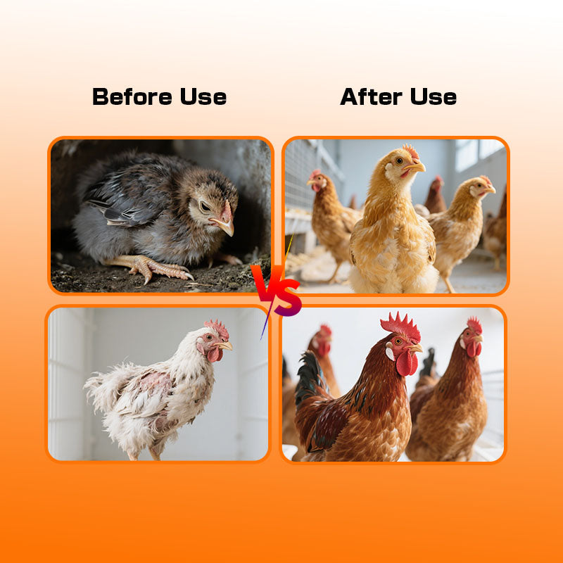 Toxin Binder for Chicken-Poultry-Specific Mold Remover