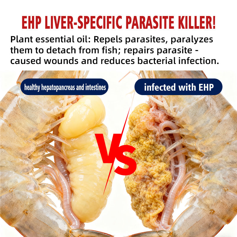 ParaZero-Aqua-TCM Parasite Expulsion Pioneer