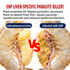 ParaZero-Aqua-TCM Parasite Expulsion Pioneer