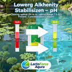 LactoForce Aqua-Decompose residual bait and feces Regulate pond pH 100-billion concentrated fermentable bacteria for intestinal regulation and feeding induction