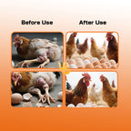 SynoLayer for laying hen