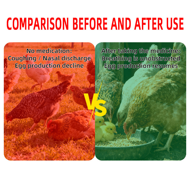 Poultry Cough Powder-Respiratory Disease Control in Poultry