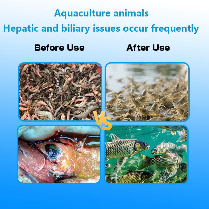AquaHep Cure-Liver Care, Cell Repair & Hepatopancreas Protection