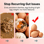 Poutly Gut PLUS-Poultry Gut Health Enhancer