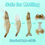 High-Power Oxygen Tablets-The Essential Oxygen Booster for Aquaculture!