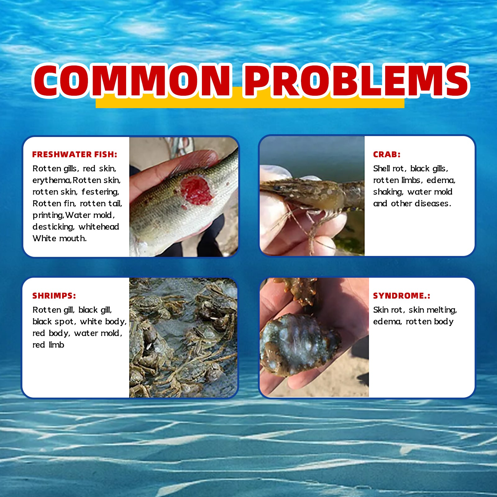 Aquatic Safe-Skin Rot, Gill Rot & Fungal Growth—Safe & Efficient