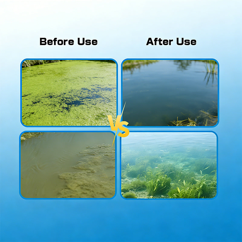 Anti-cyanobacteria