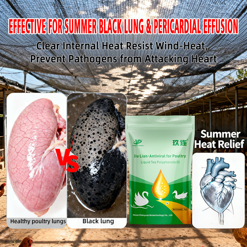 Jiu Lian-Antiviral for Poultry