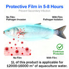 Aquatic Safe-Skin Rot, Gill Rot & Fungal Growth—Safe & Efficient