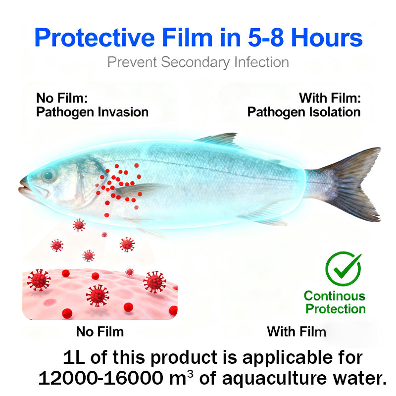 Aquatic Safe-Skin Rot, Gill Rot & Fungal Growth—Safe & Efficient