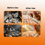 Lucky Seven-Layer Hen Egg Booster